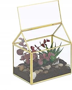 Relaxdays Terrarium roślinne 15 x 15 x 10 cm, dekoracyjny szklany domek